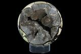 Septarian Dragon Egg Geode - (Special Price) #86911-1